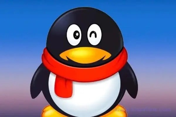 协议粉什么意思？